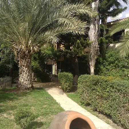 Danae Villa